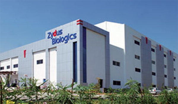 Zydus explores biologicals route to treat COVID-19 with long-acting Interferon alpha-2b