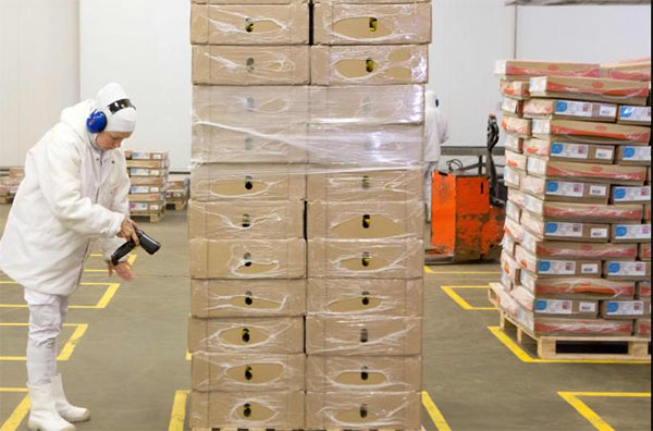 Recession-hit Japan’s exports, imports fall due to pandemic