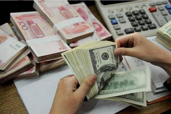 Forex reserves at new record level