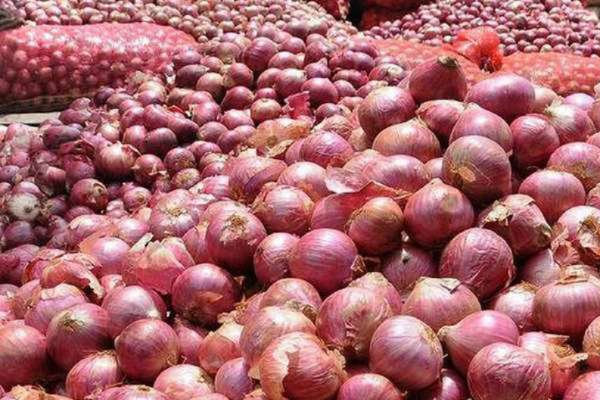 India bans exports of onion seeds